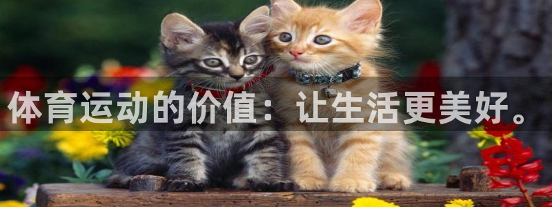 中欧体育(zoty)官网：体育运动的价值：让生活更美好。