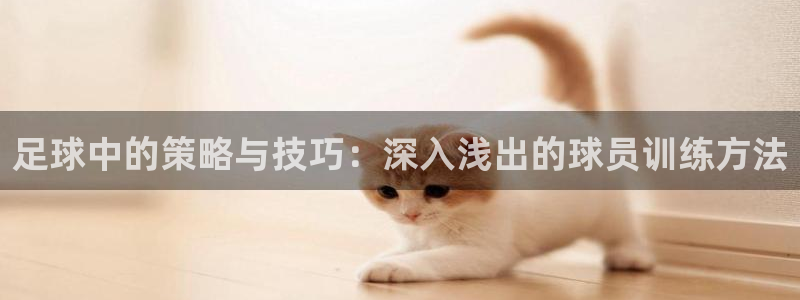 中欧体育最新地址：足球中的策略与技巧：深入浅出的球员训练方法