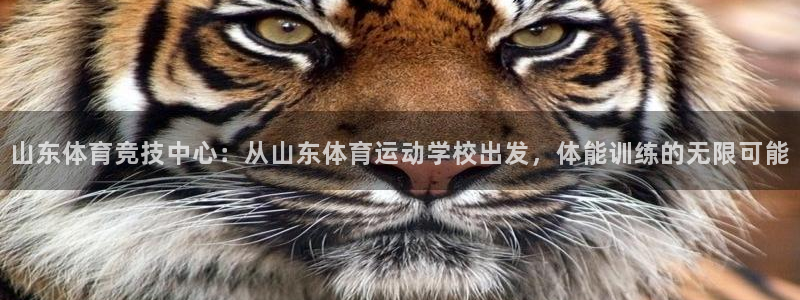 中欧体育最新地址：山东体育竞技中心：从山东体育运动学校出发，体能训练的无限可能