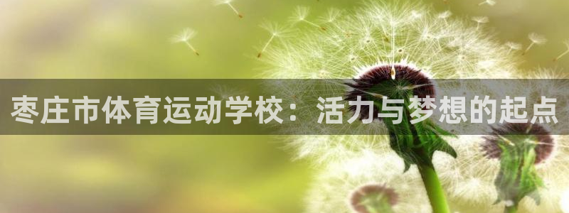 中欧体育下载：枣庄市体育运动学校：活力与梦想的起点