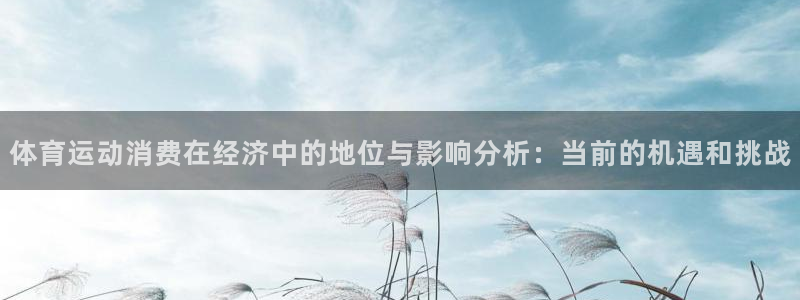 中欧体育登录：体育运动消费在经济中的地位与影响分析：当前的机遇和挑战