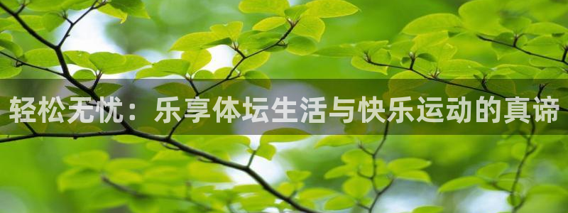 中欧体育网站：轻松无忧：乐享体坛生活与快乐运动的真谛